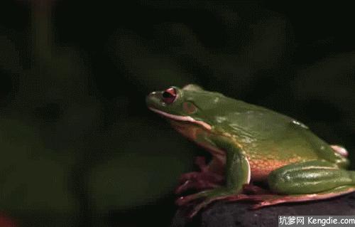 原创诗词七律夏之韵,原创诗词七律六月