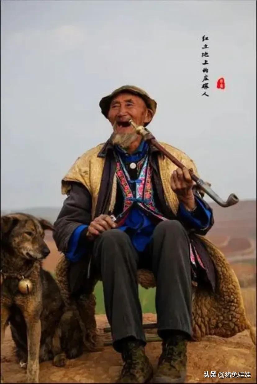 一个忠厚老实的庄稼人,为何把自己心爱的马卖掉