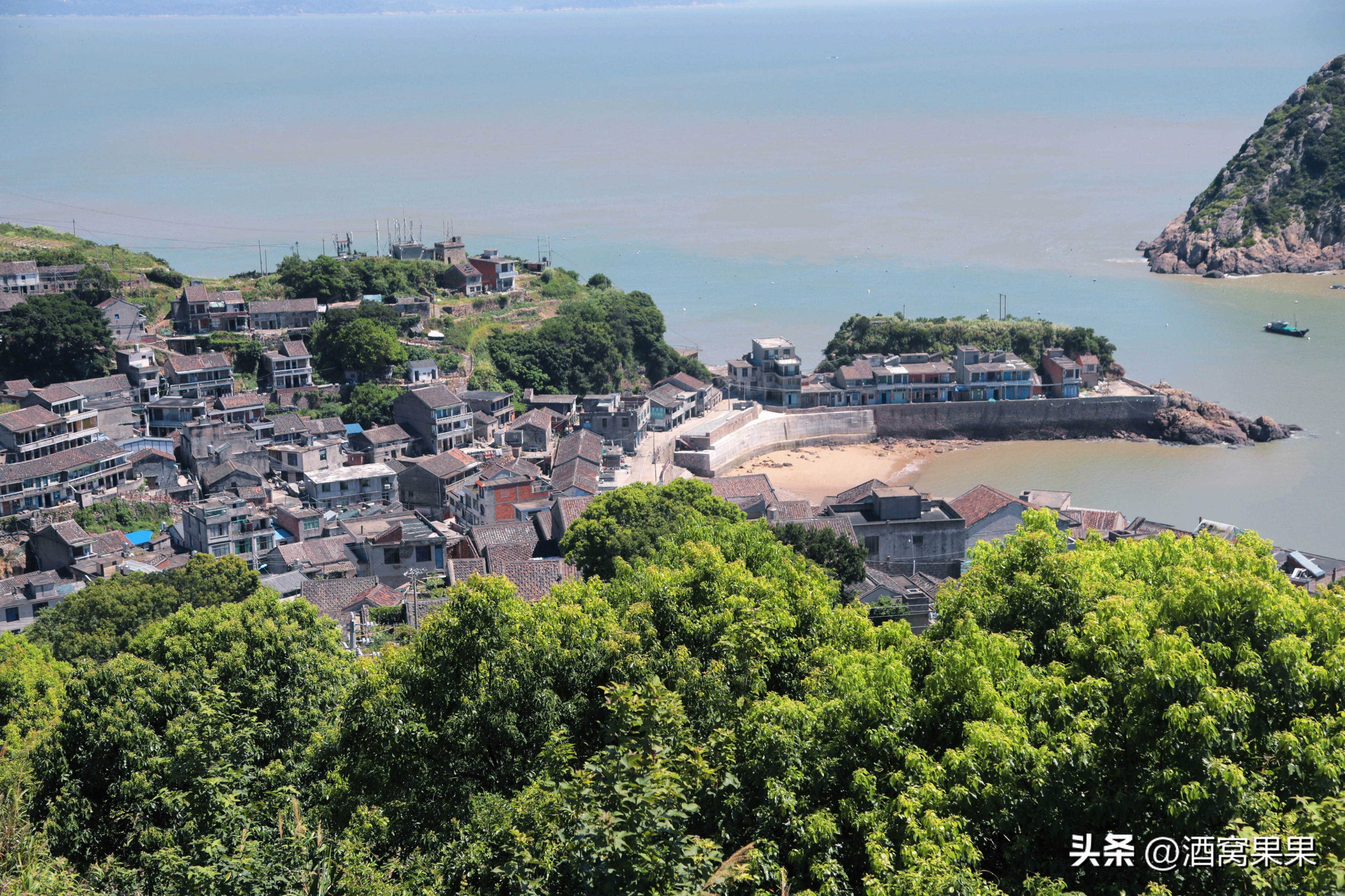 福鼎两天一夜旅游攻略,福鼎茶漫步茶园体验采茶之旅