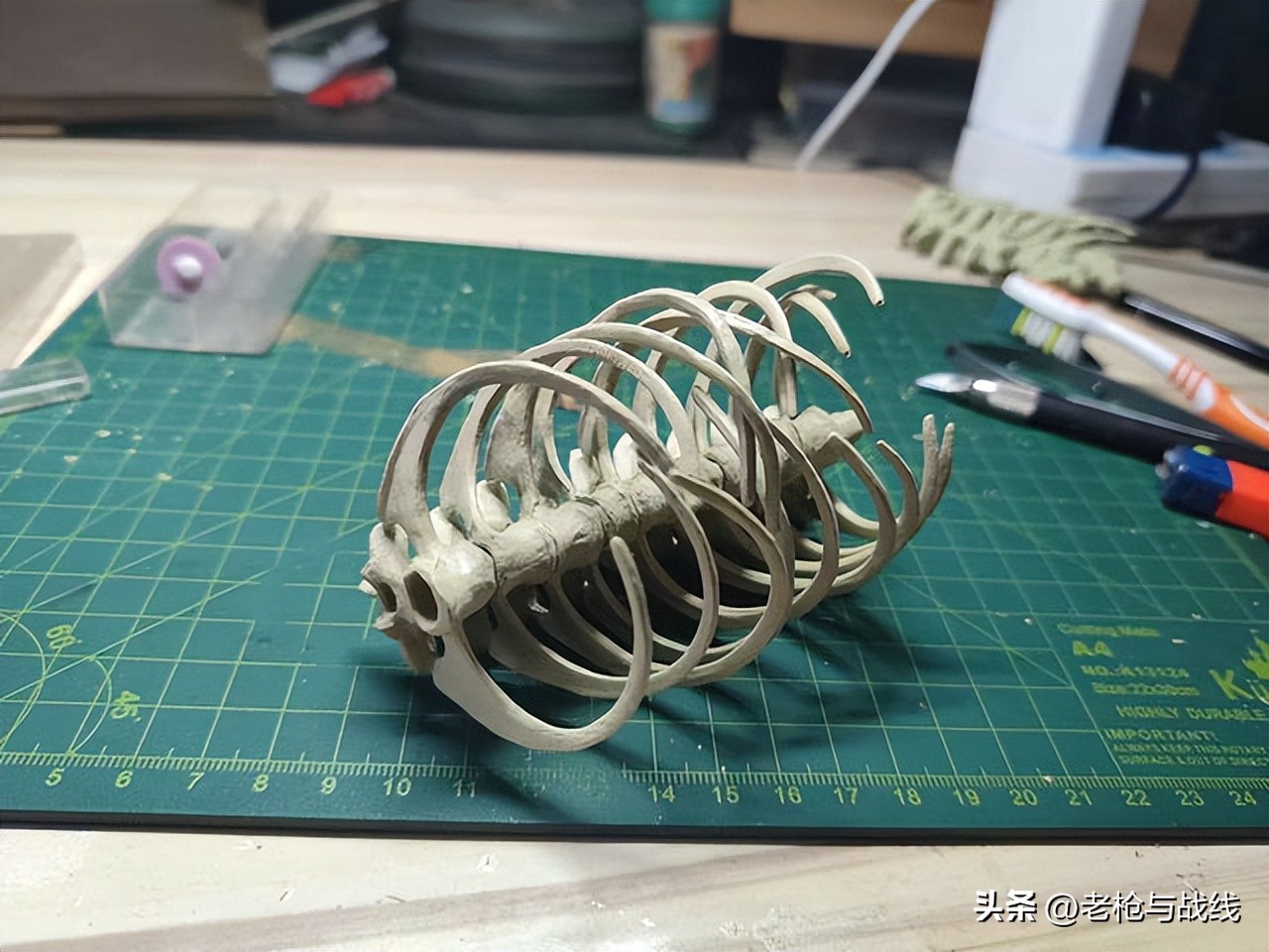 如何制作霸王龙骨架,用硬纸板做霸王龙骨架教程