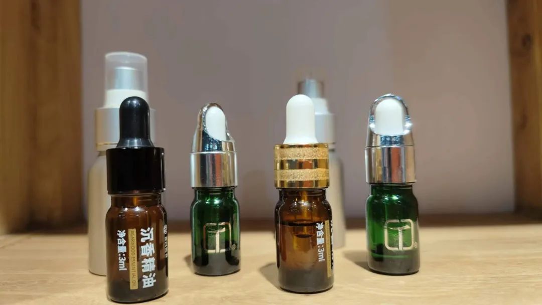 春日出游计划东寨港红树林观鸟游,东寨港红树林观鸟