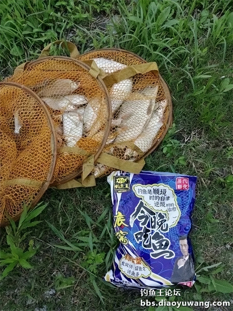 崇明北横引河水深,北横引河能钓鱼吗