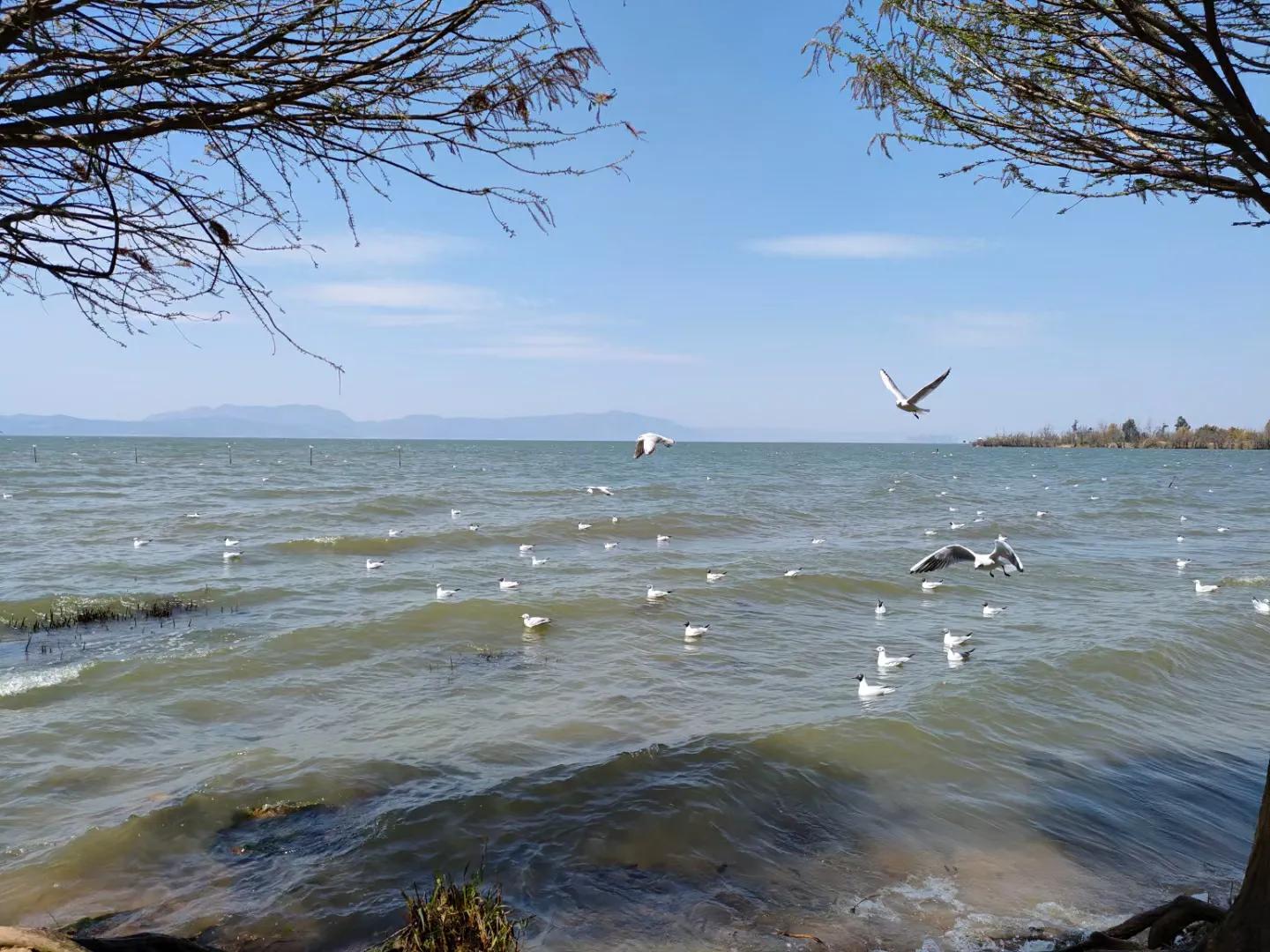 百年孤独读懂了便再也不怕孤独,百年孤独任何人无法代替你的孤独