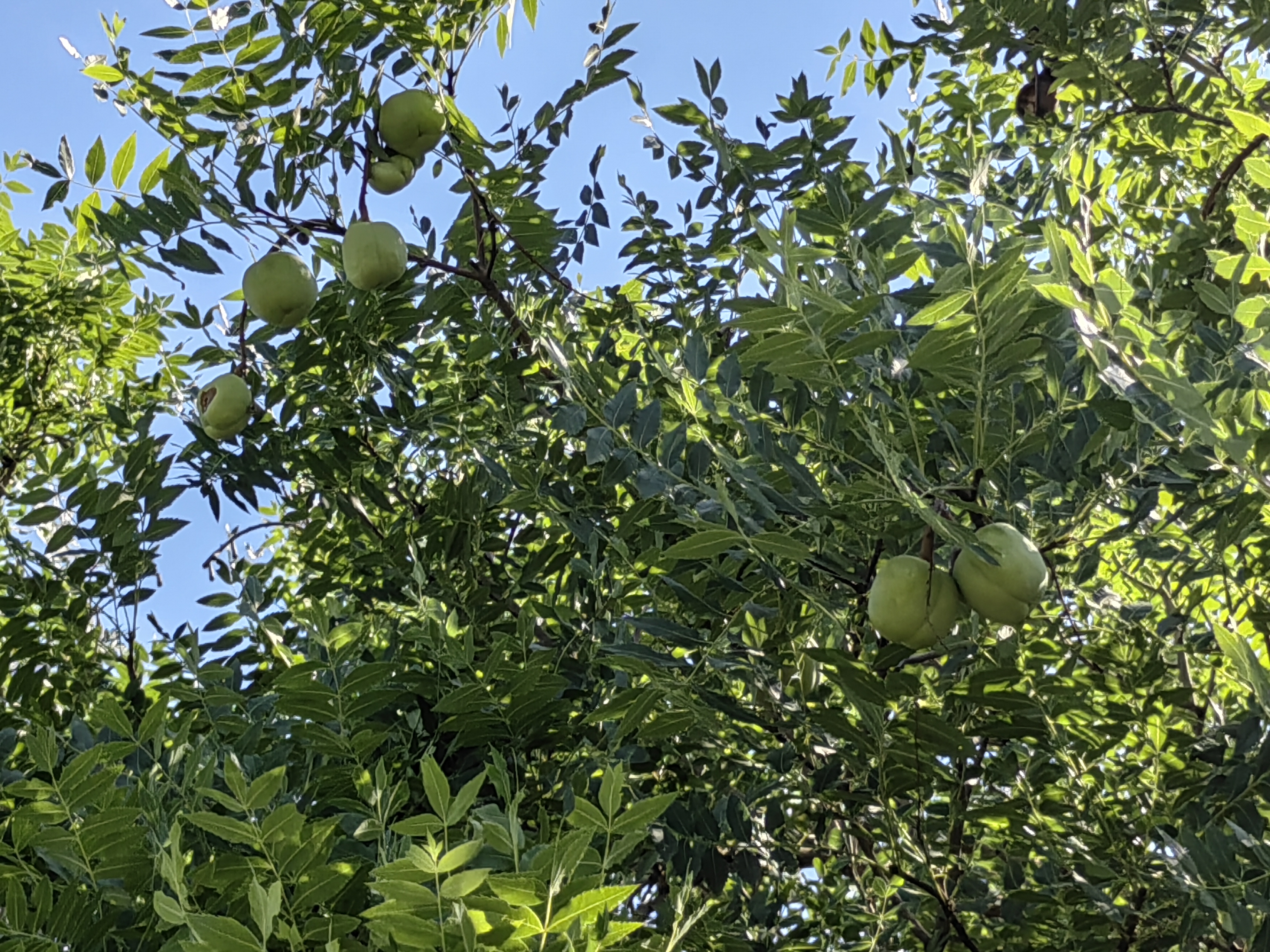 乌鲁木齐水磨沟公园旅游,水磨沟公园清泉禅寺