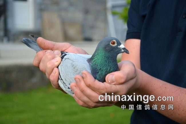 万里挑一的获奖者图片,万里挑一比赛视频