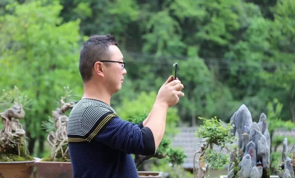 盆景一年能赚多少钱,一个盆景月入百万