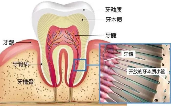 不补牙齿后牙齿会怎样,不补牙齿有问题吗