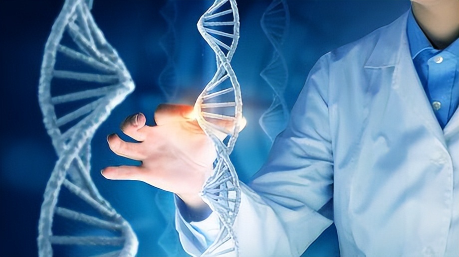 体内有结节的人哪五种发物不能吃,身体结节多的人有4种发物不能吃