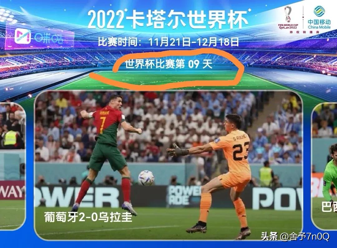 卡塔尔世界杯难忘的足球时刻,卡塔尔世界杯感悟