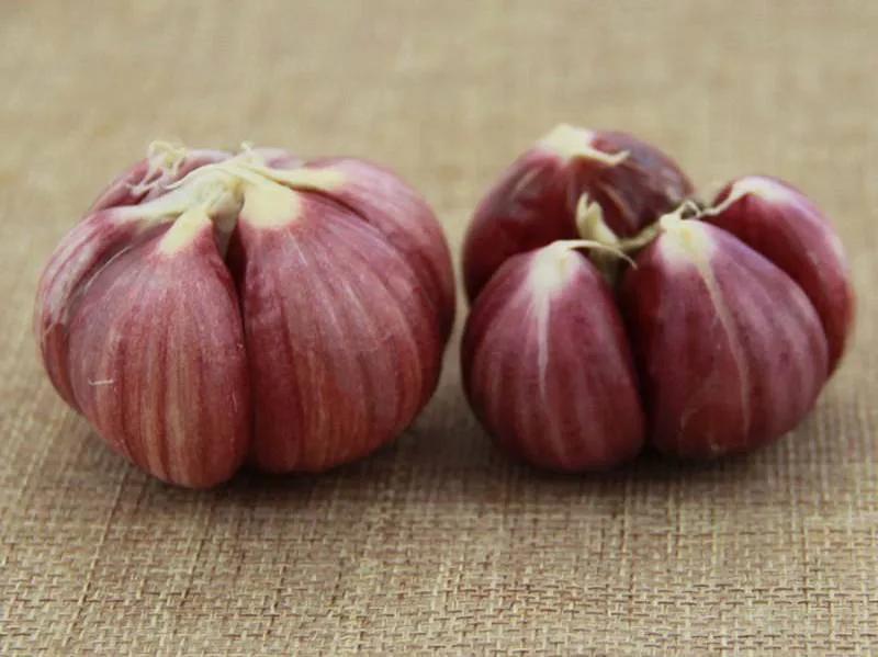 中国国家地理标志怎么申请,中国国家地理标志标识