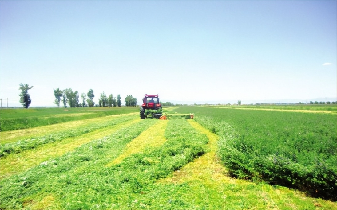 苜蓿经营模式:合作社+土地托管;董明珠:预制菜装备迎来新机会