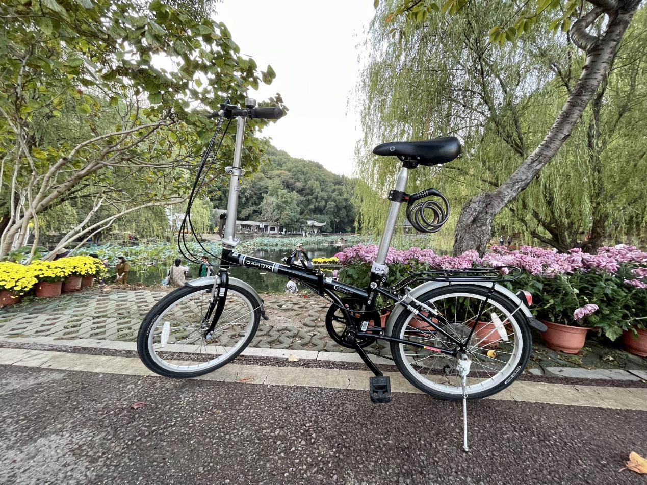 DAHON|「我与大行的故事」征文活动（七）“我与大行的不解之缘”