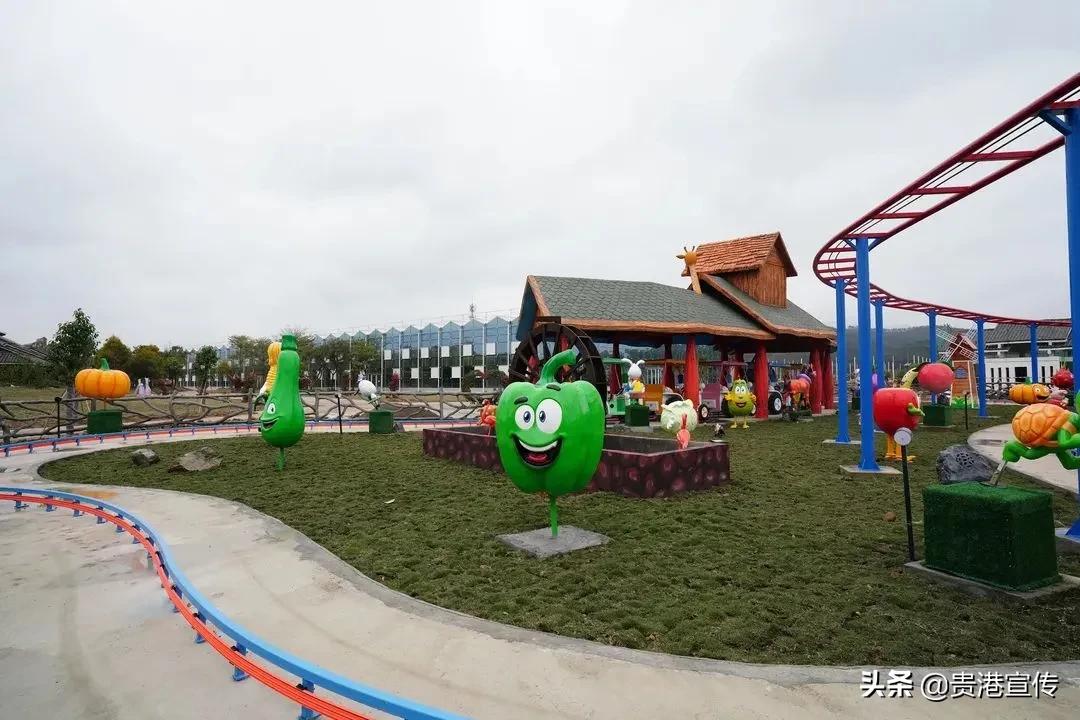 春节贵港一日游最佳攻略,春节贵港去哪里玩