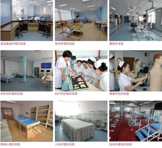 北京协和医学院护理招生2024,北京协和医院护理学院招生