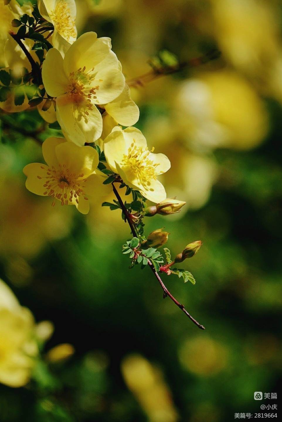 想让自己云淡风轻看淡世态炎凉,世态炎凉常让人心寒唯有做好自己