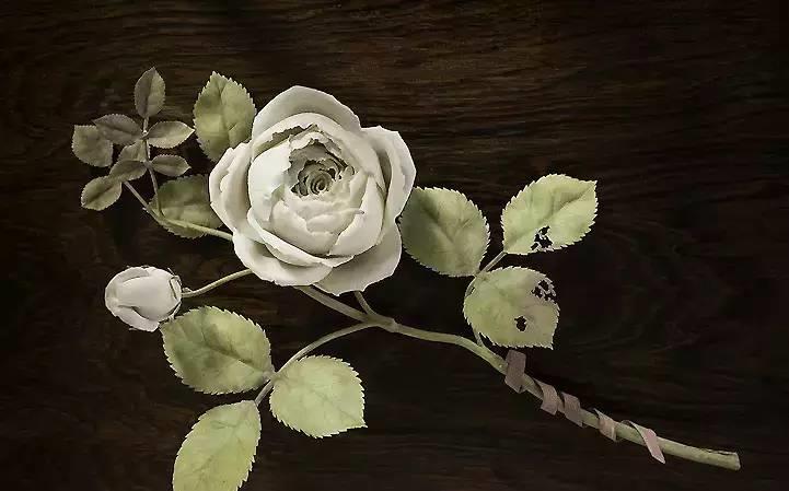 园丁的花园里开出了永生花,园丁永生花