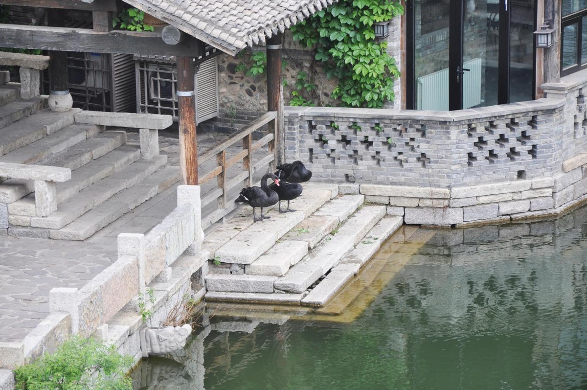 来邂逅长城下的小镇北京古北水镇,北京古北水镇游记