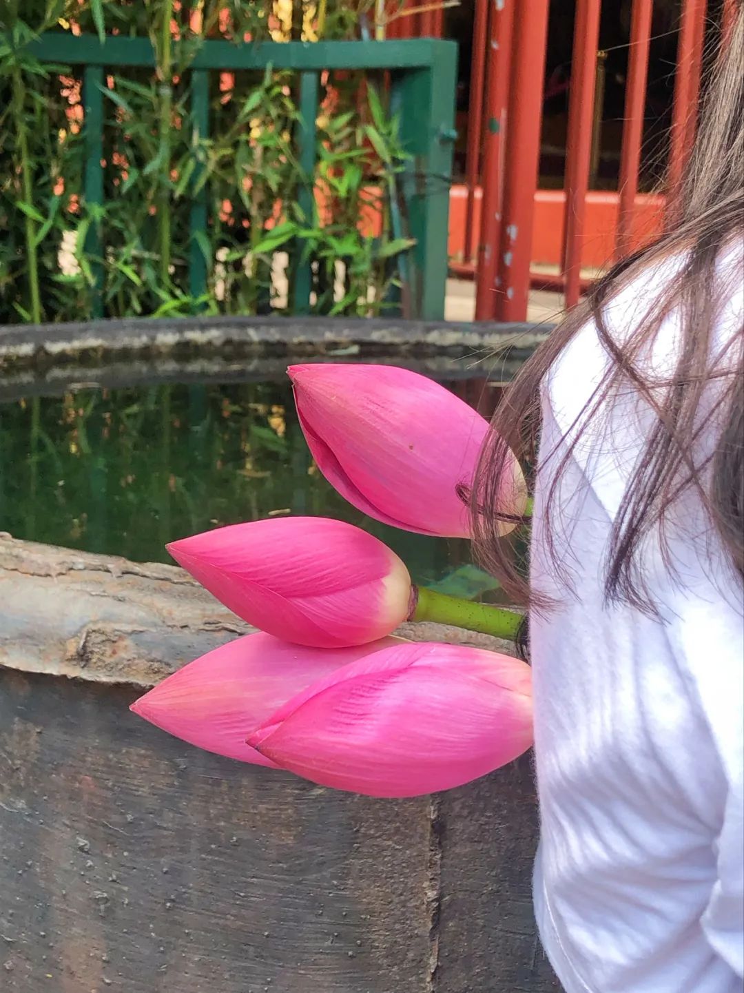 以禅赋旅以旅彰禅