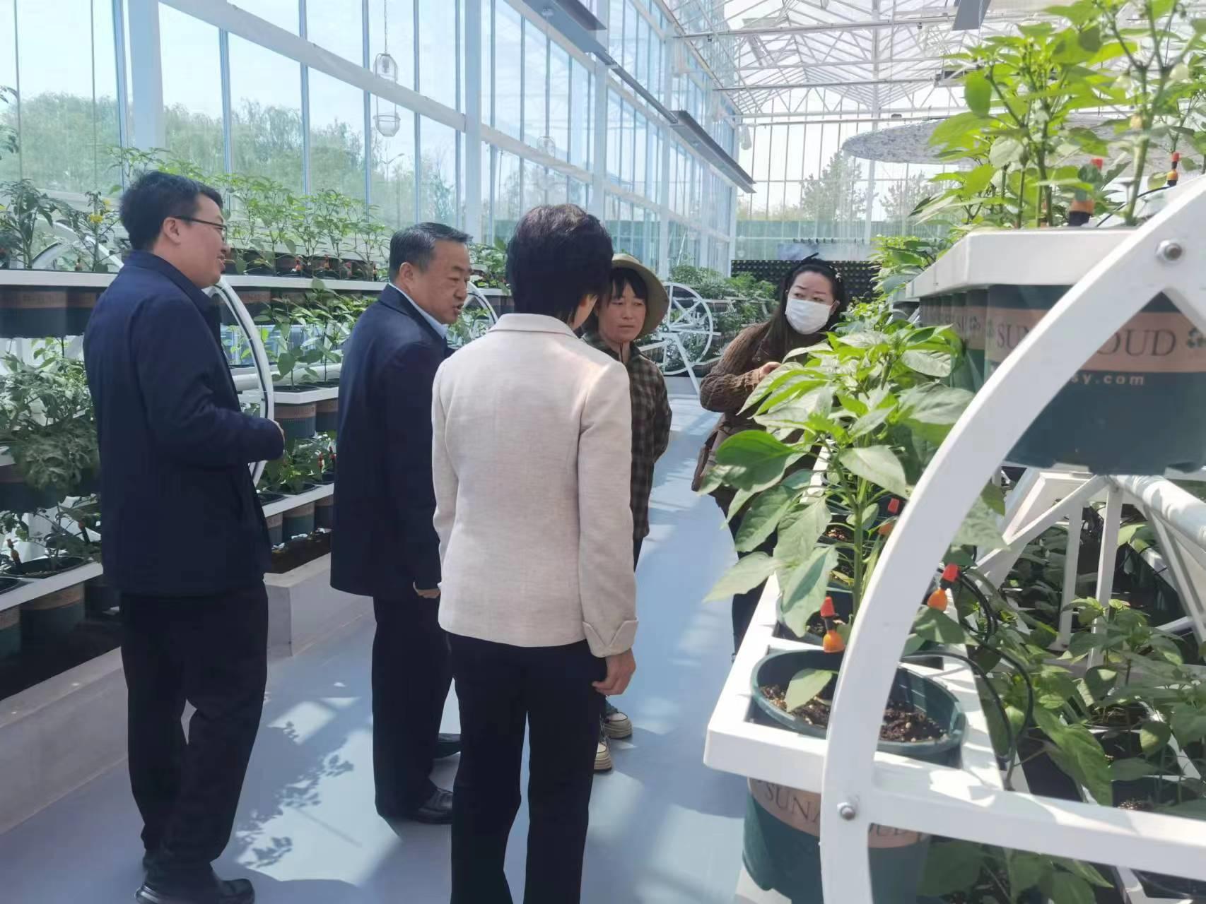 江苏阜宁乡村振兴,凝心聚力为乡村振兴护航