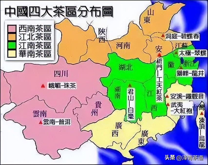 为什么茶树的南比北多,茶树生长的原因有哪些