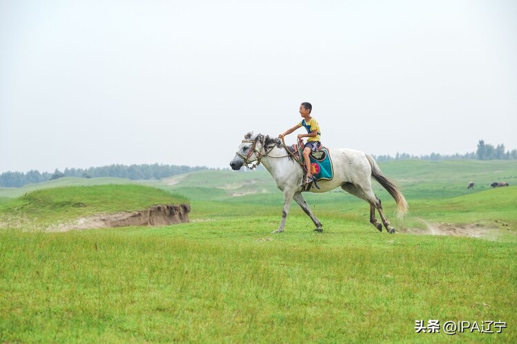 国际摄影协会创作基地草甘沙漠IPA辽宁摄影作品展示（第一期）