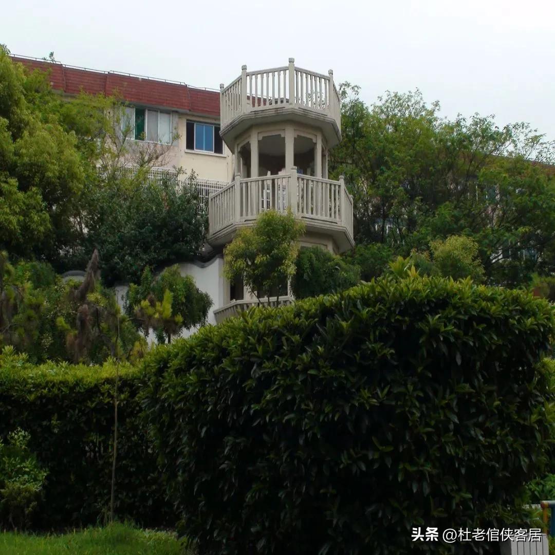 如风往事之——漫谈油菜花开与“白塔”