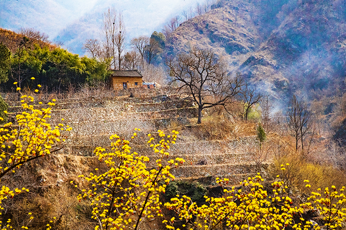 河南面积最大县山沟沟里的风景，沟壑纵横大棚多，深谷人家春日忙