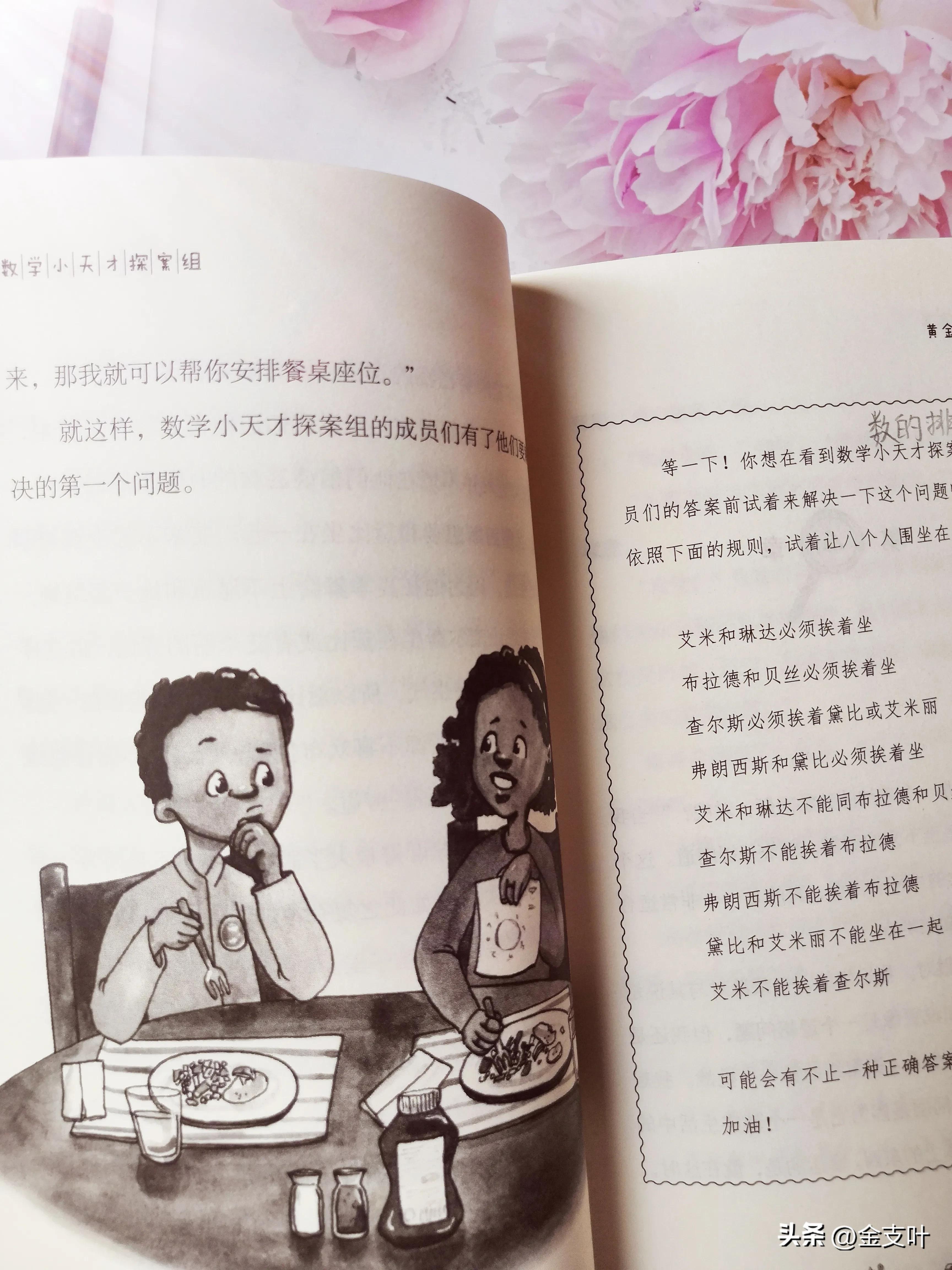 数学小天才探案组推荐理由,数学小天才探案组读书笔记