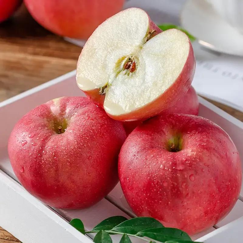 烤瓷牙一定要做桩吗,烤瓷牙用哪种牙套好