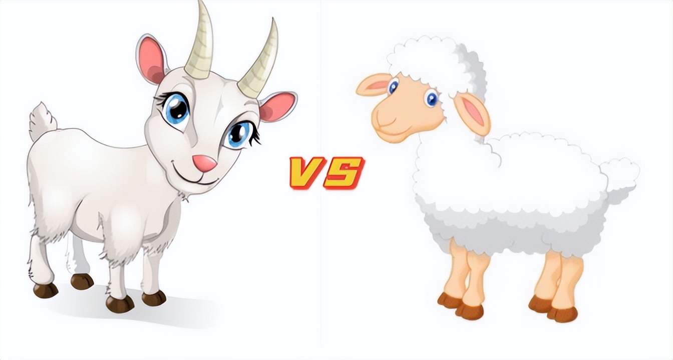 蓝河绵羊和佳贝艾特奶粉怎么选,蓝河和佳贝艾特奶粉实测