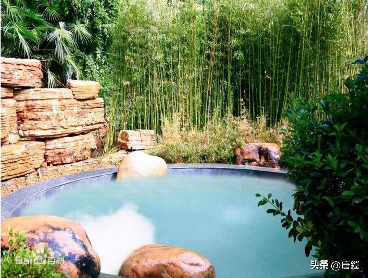 宁海县潘天寿,宁海名人潘天寿