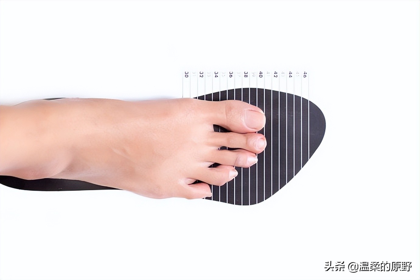 公认最好的护踝篮球,篮球最新款运动护踝男款