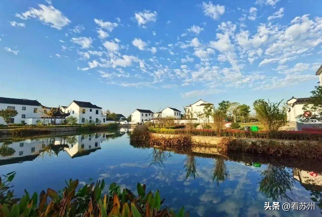 苏州最具有地方特色的美食,苏州有哪些著名的美食