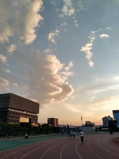 初中英语作文我的学校生活,初中校园生活满分作文800字