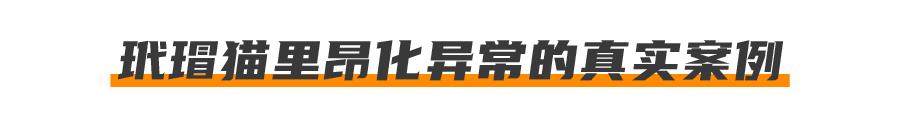 基因克隆最新突破,基因最新突破