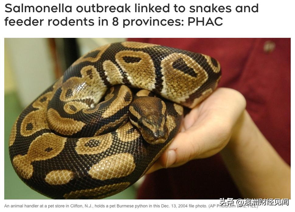 omicron新变种,omicron新变异毒株