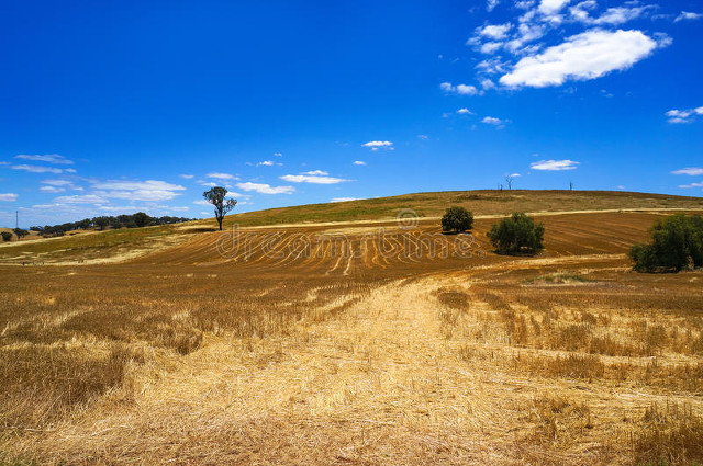 全球气候变化对农业的影响和对策,气候变化对农业生产的影响