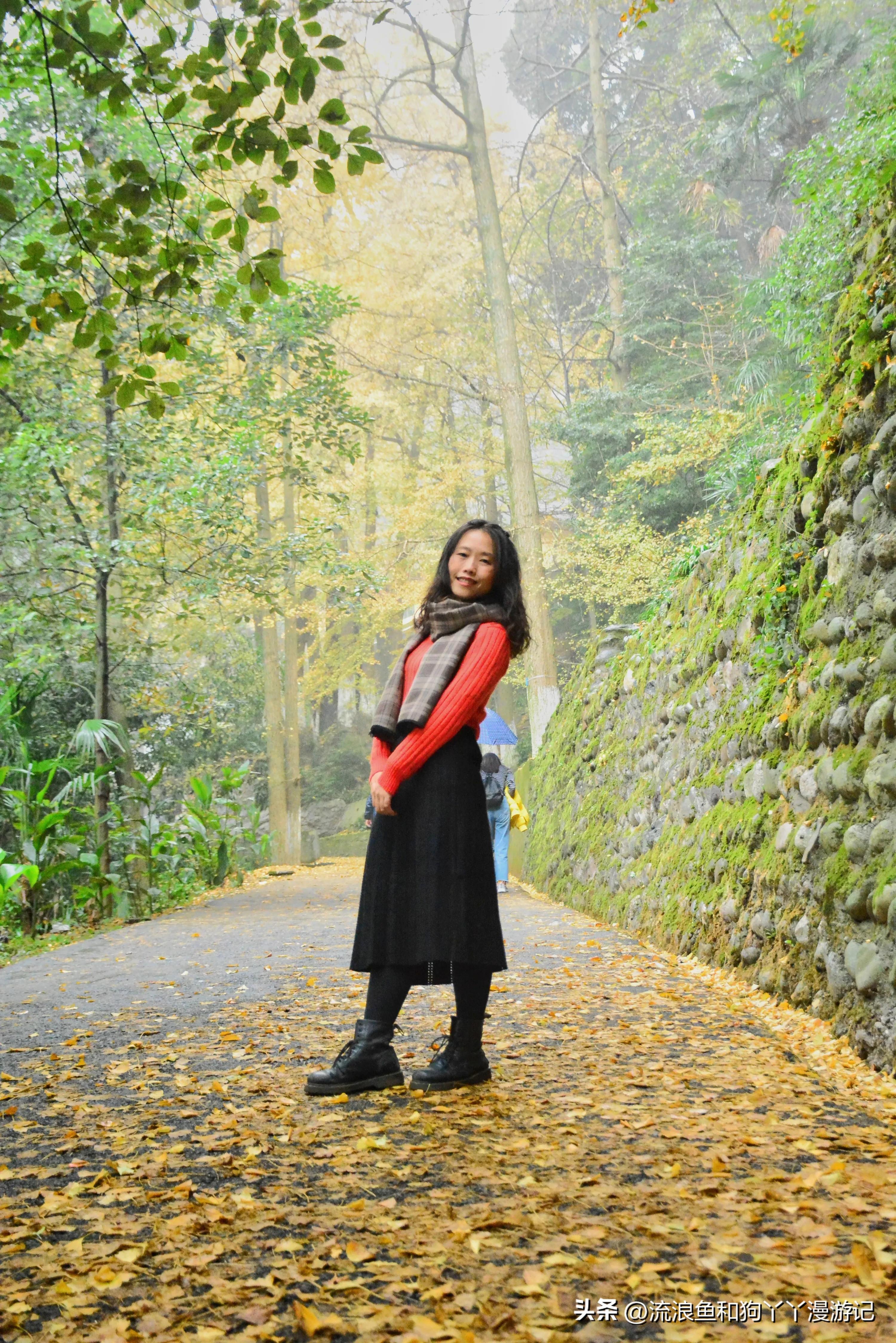 四月份成都近郊一日游好去处,2022成都近郊看雪一日游最佳去处