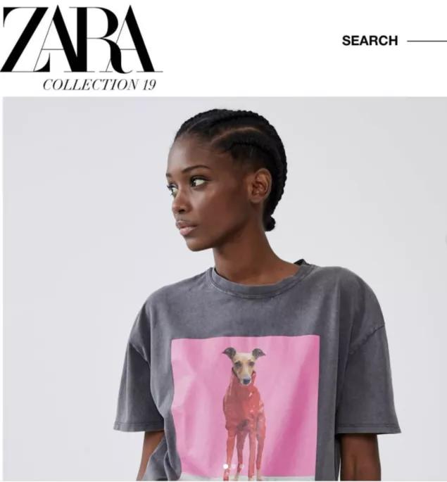 一只被抛弃的小狗逆袭变身超狗,一只被逆袭的中国狗狗