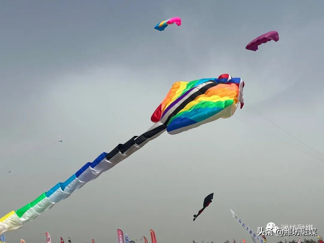 开幕照片视频,最新开幕式片段