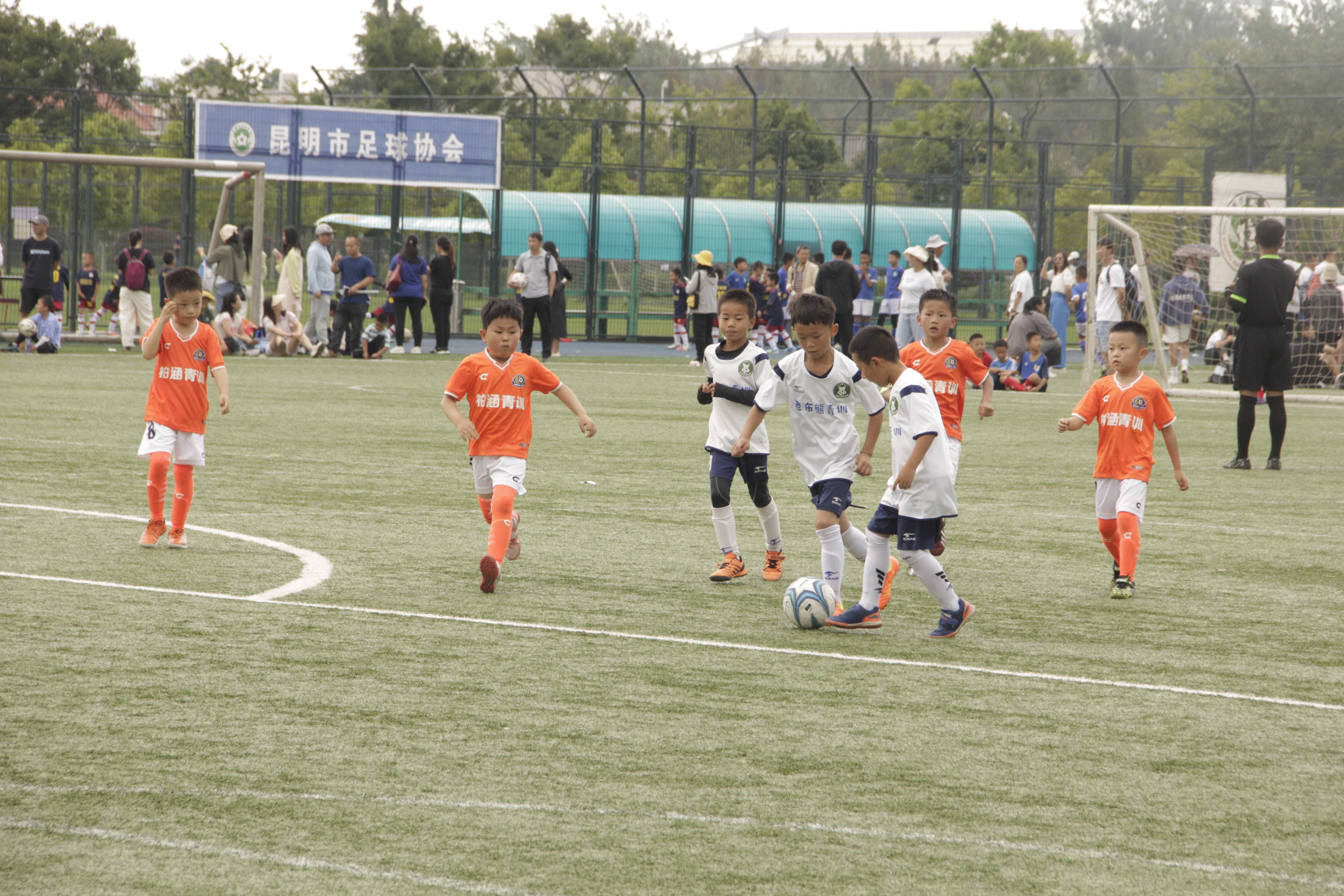 昆明2023奋进杯足球赛,昆明市小学生奋进杯