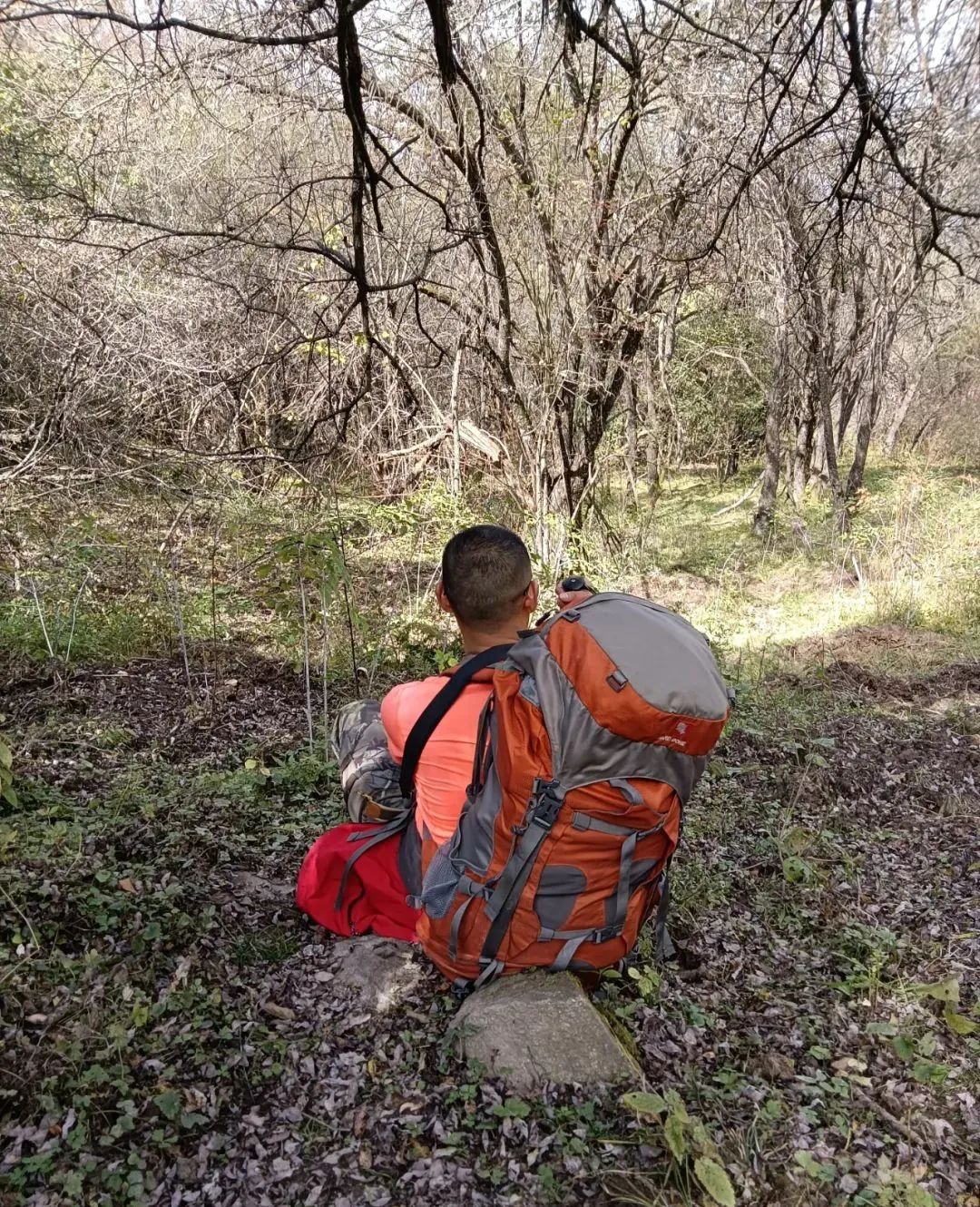 登太白山感受,太白山景区登顶拔仙台