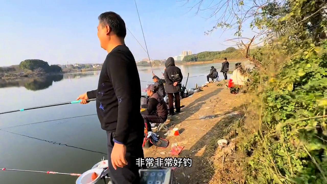 青稍最好钓的时间段,青梢的终极钓法