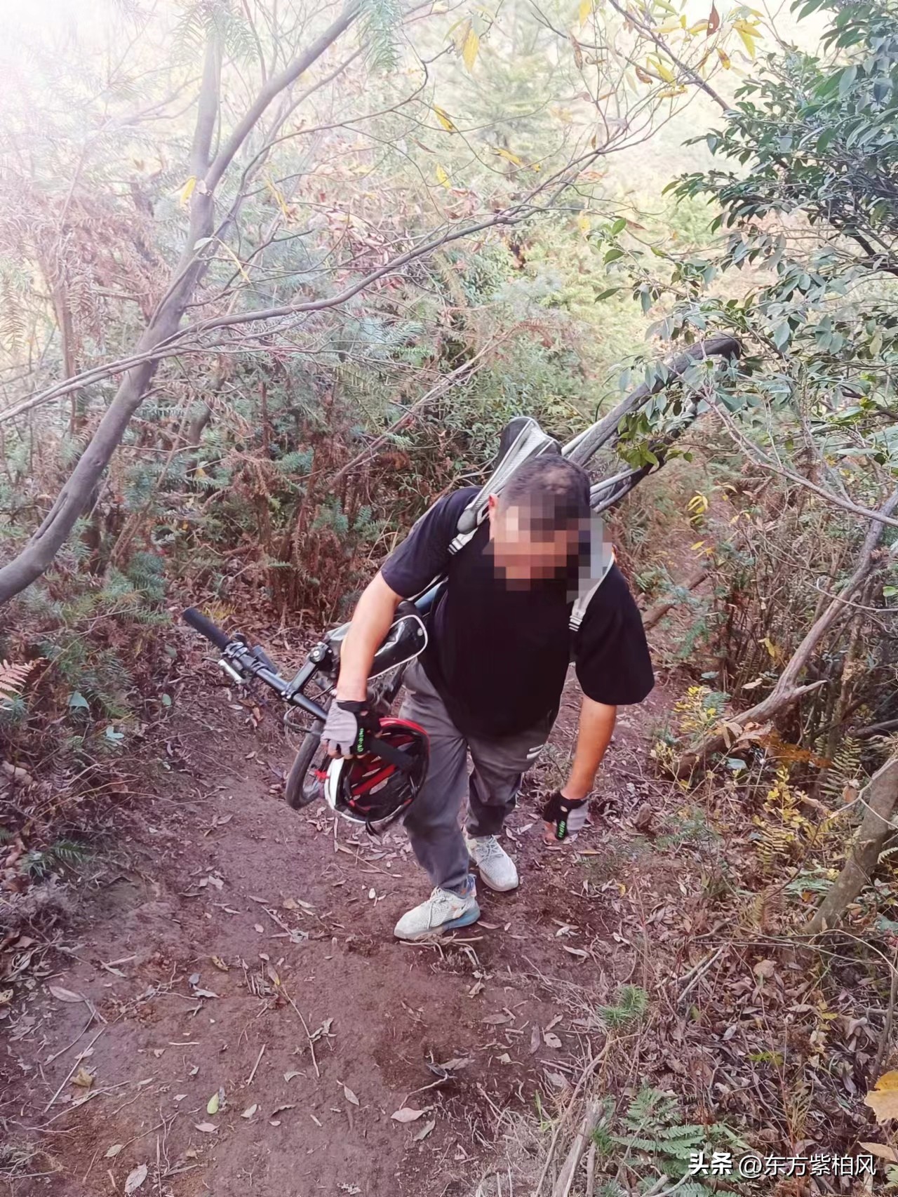义乌大寒尖春季旅游,义乌大寒尖旅游饮食