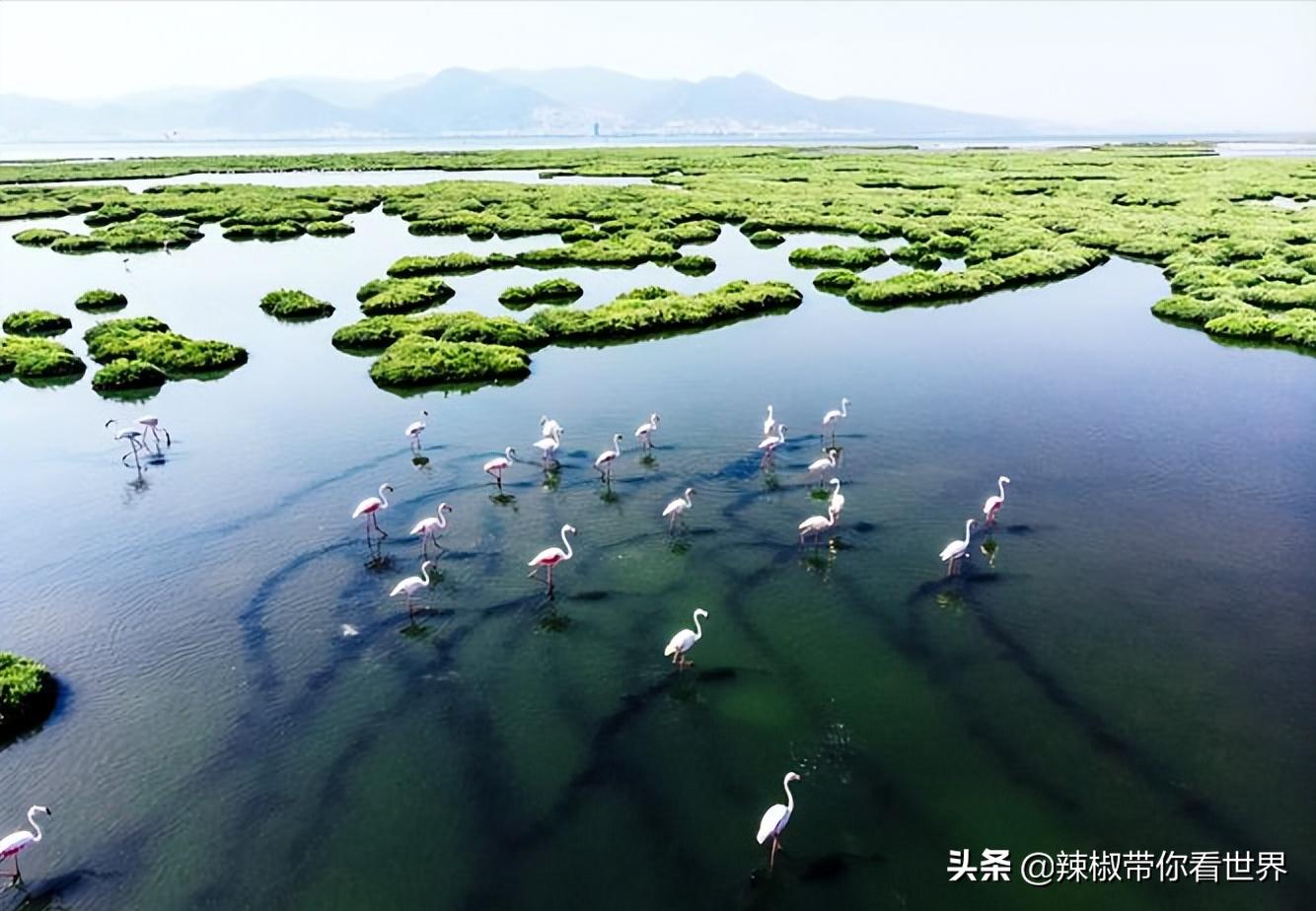 盐城最大的海边城市,盐城海岸线为何一直延伸