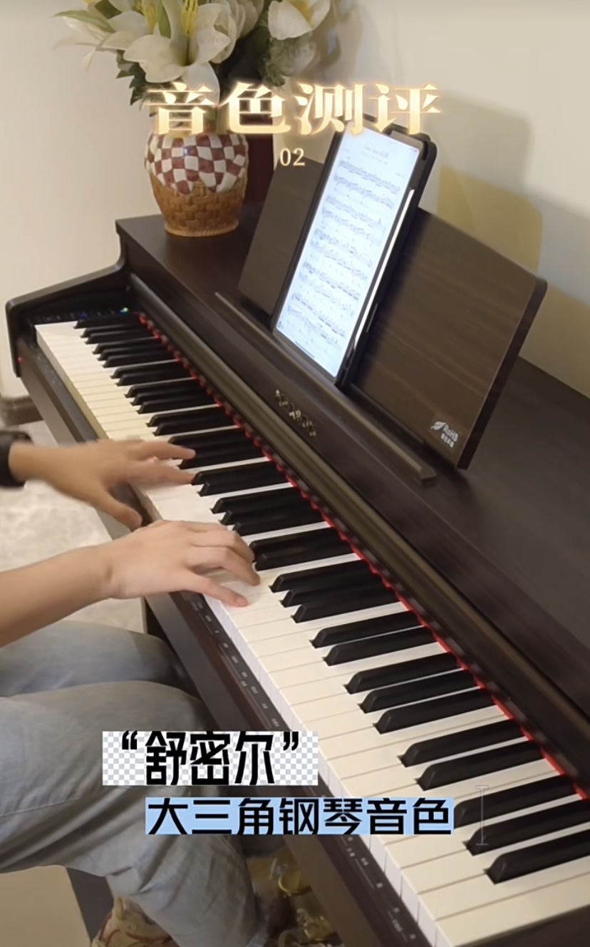 珠江艾茉森电钢琴f53测评,珠江艾茉森电钢琴f53和v05的区别