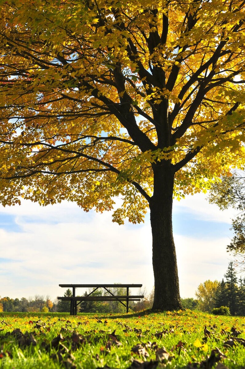 女作家去做保姆134,女作家去做保姆265