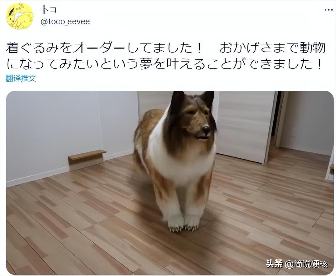 日本男子花200万变狗还会说话吗,日本男子花200万变狗后能说话吗