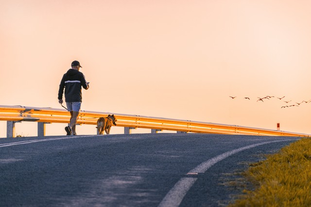 澳大利亚生活真实状况,澳大利亚生活现状视频