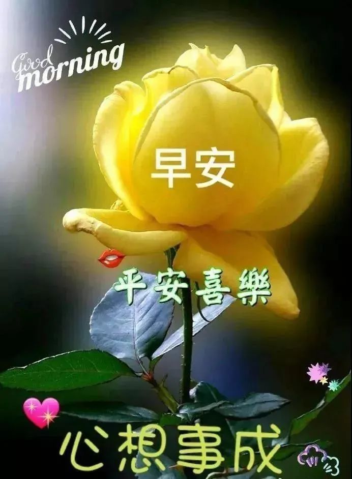 清晨特漂亮早上好祝福语动态图片,最新漂亮早上好祝福语动态表情图
